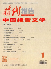 时代报告